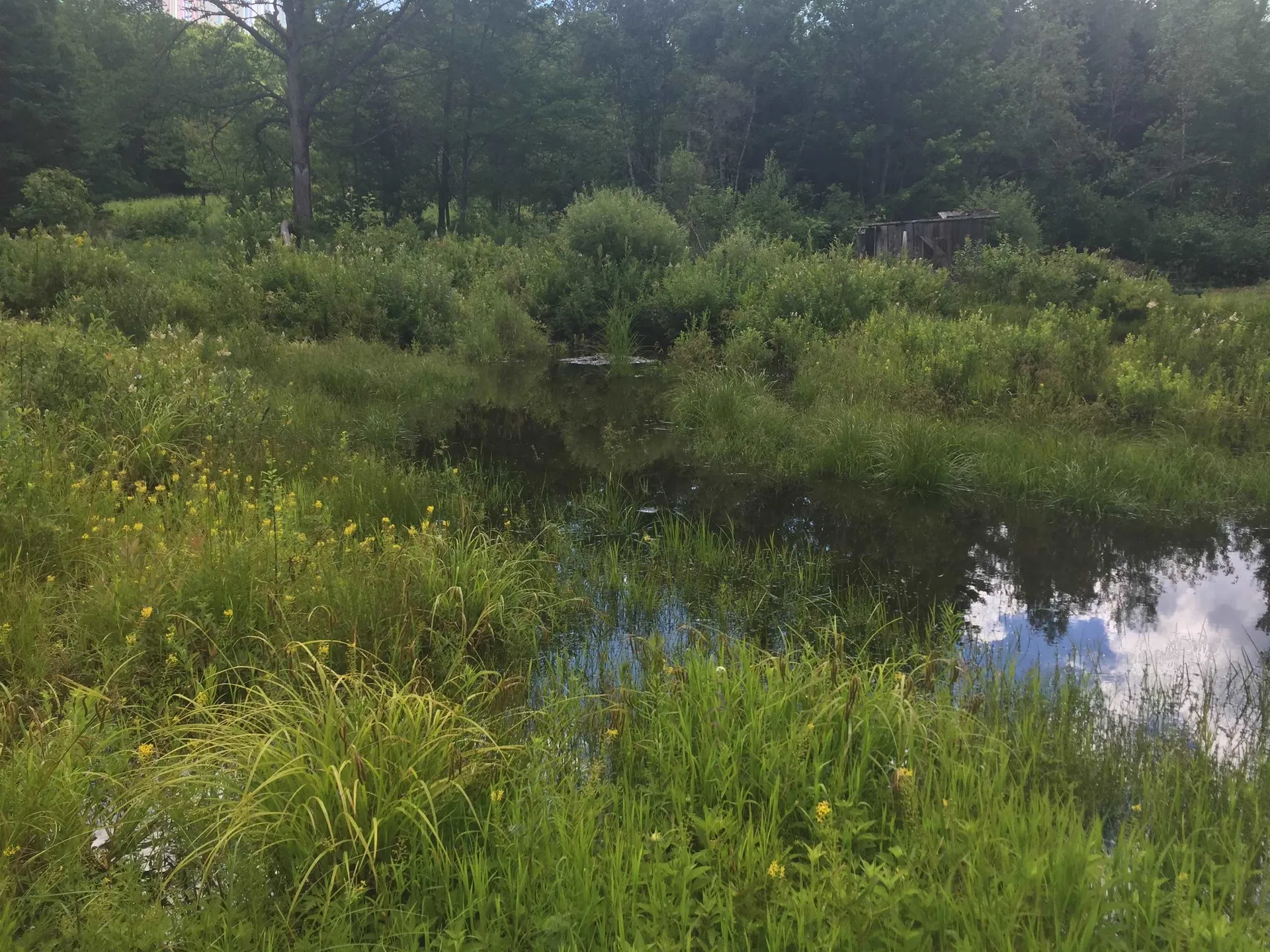 691 Gore Road Newport Town VT 05857