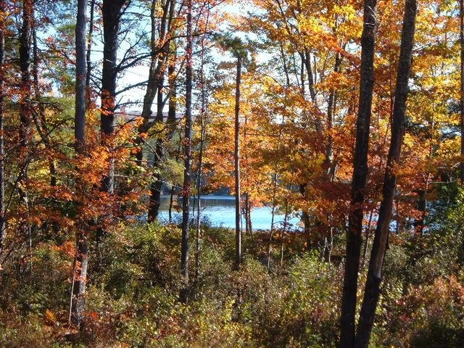 356 Birch Hill Road New Durham NH 03855