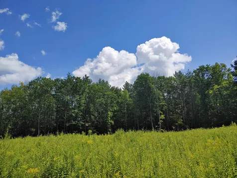 106-1 Lang Road Deerfield NH 03037