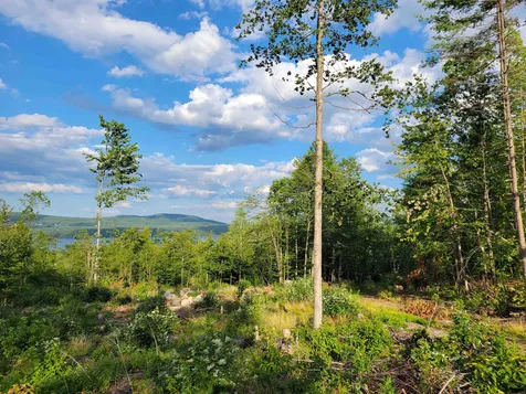 0 Simon Hill Road Effingham NH 03882