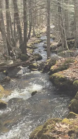 0 Simon Hill Road Effingham NH 03882