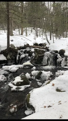 0 Simon Hill Road Effingham NH 03882