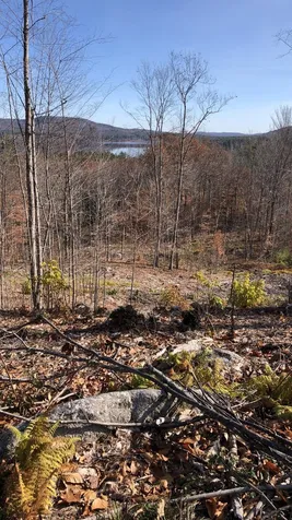0 Simon Hill Road Effingham NH 03882