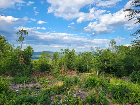 0 Simon Hill Road Effingham NH 03882