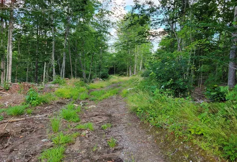 0 Simon Hill Road Effingham NH 03882