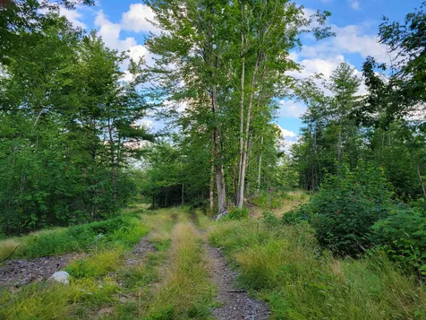 0 Simon Hill Road Effingham NH 03882