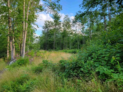 0 Simon Hill Road Effingham NH 03882