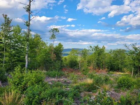 0 Simon Hill Road Effingham NH 03882
