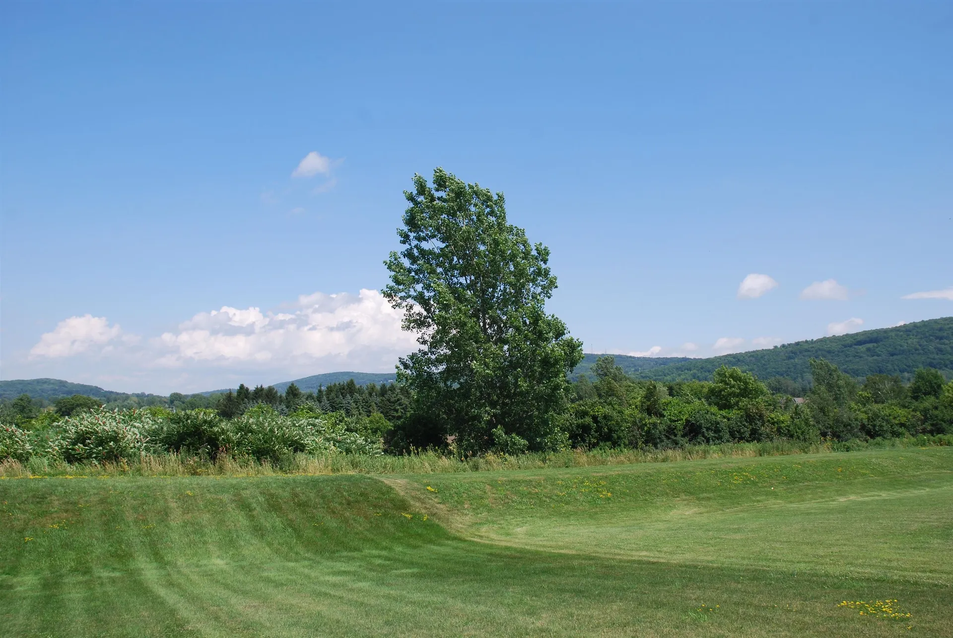 403 Harbor View Drive St. Albans Town VT 05478