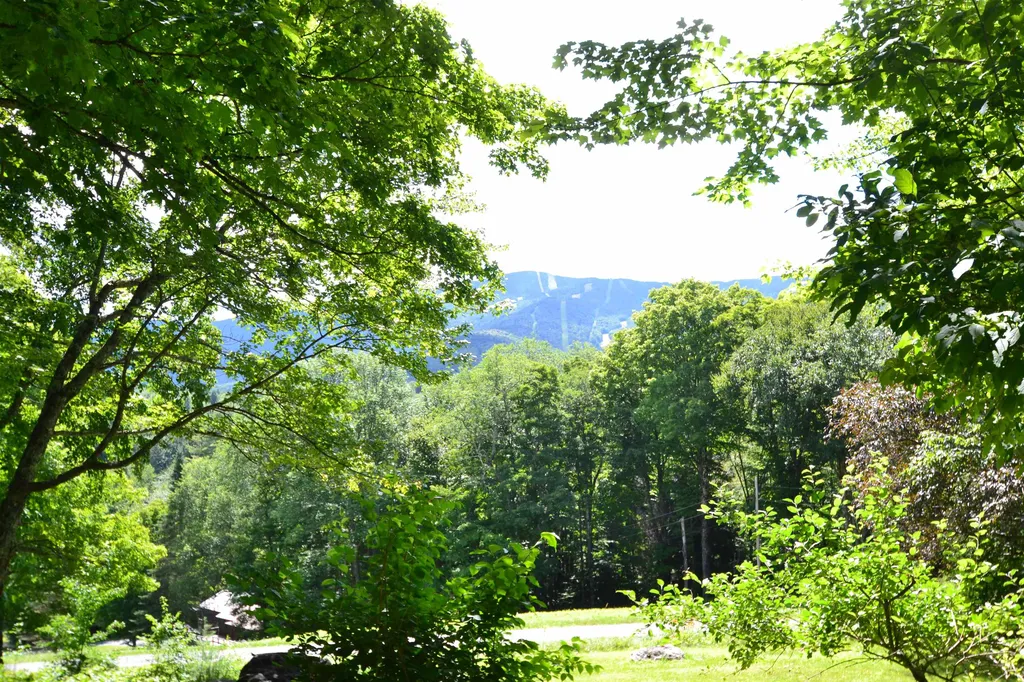 164 Clark Road Fayston VT 05673