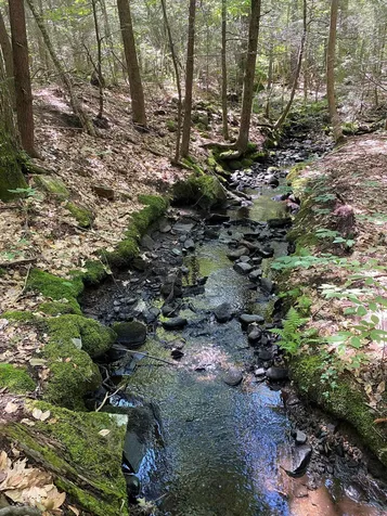 123 Gettings Road Weare NH 03281