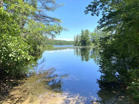 54 Hawkins Pond Road Center Harbor NH 03226