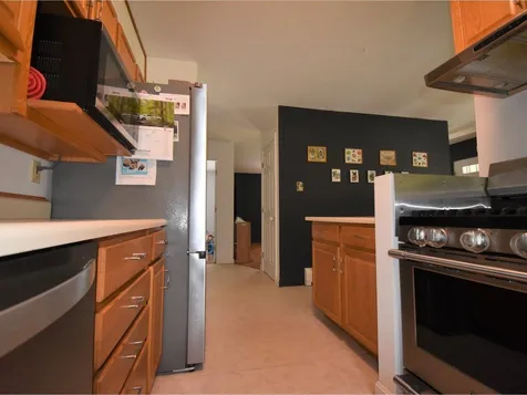 202 Terrier Drive Bristol VT 05443