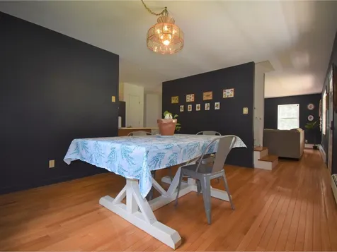 202 Terrier Drive Bristol VT 05443