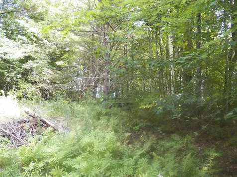 3 Glenwood Drive Sunapee NH 03782