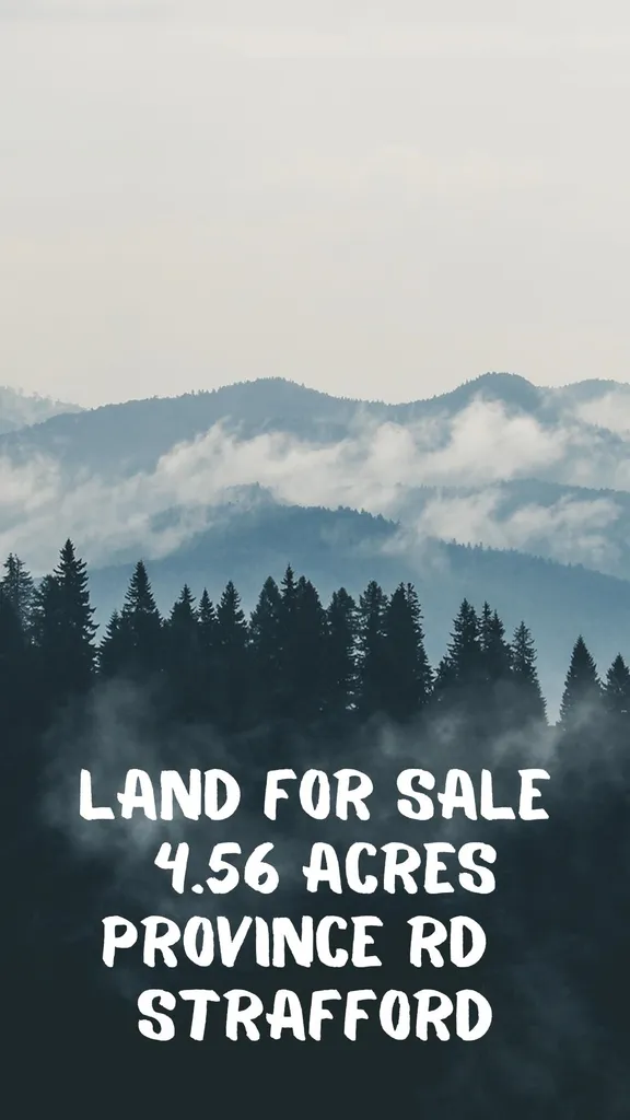 Map 1 Lot 18-5 Province Road Strafford NH 03884