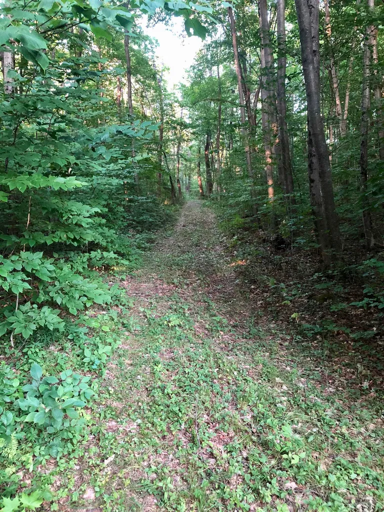 0 Kelly Hill Road Danby VT 05739