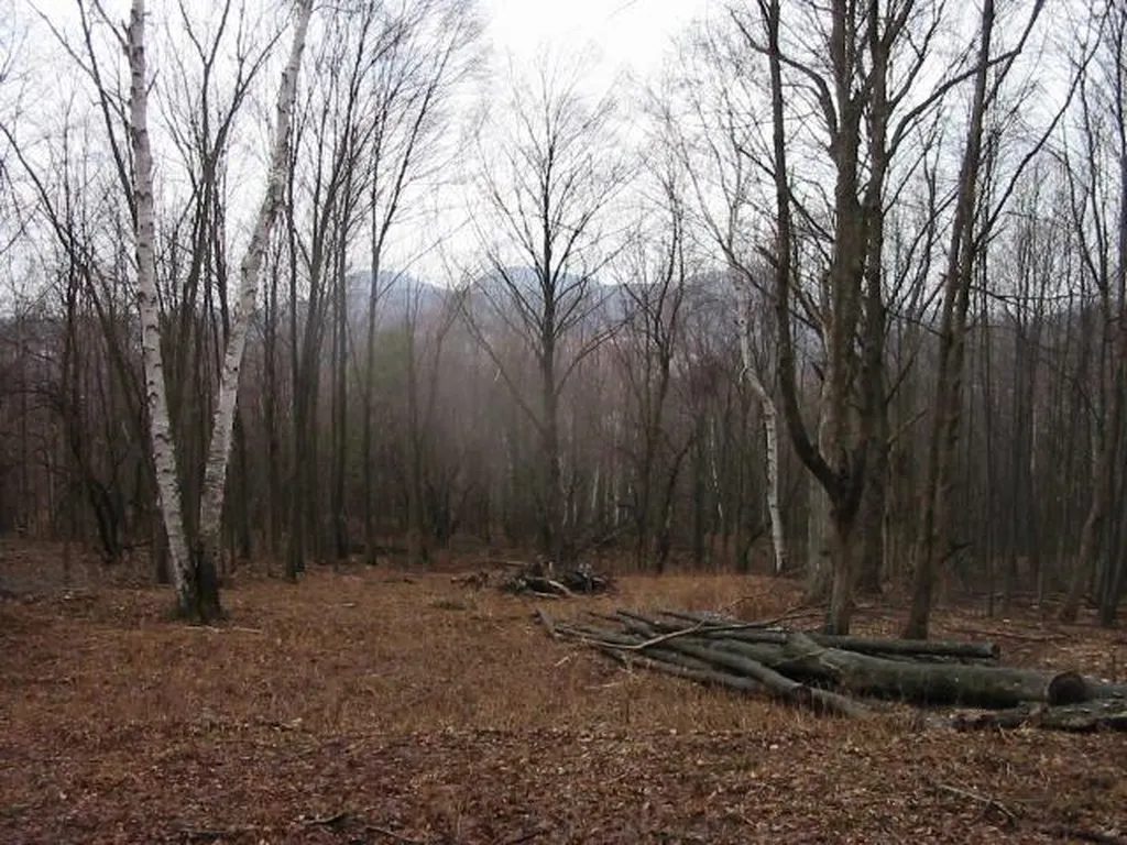 0 Kelly Hill Road Danby VT 05739