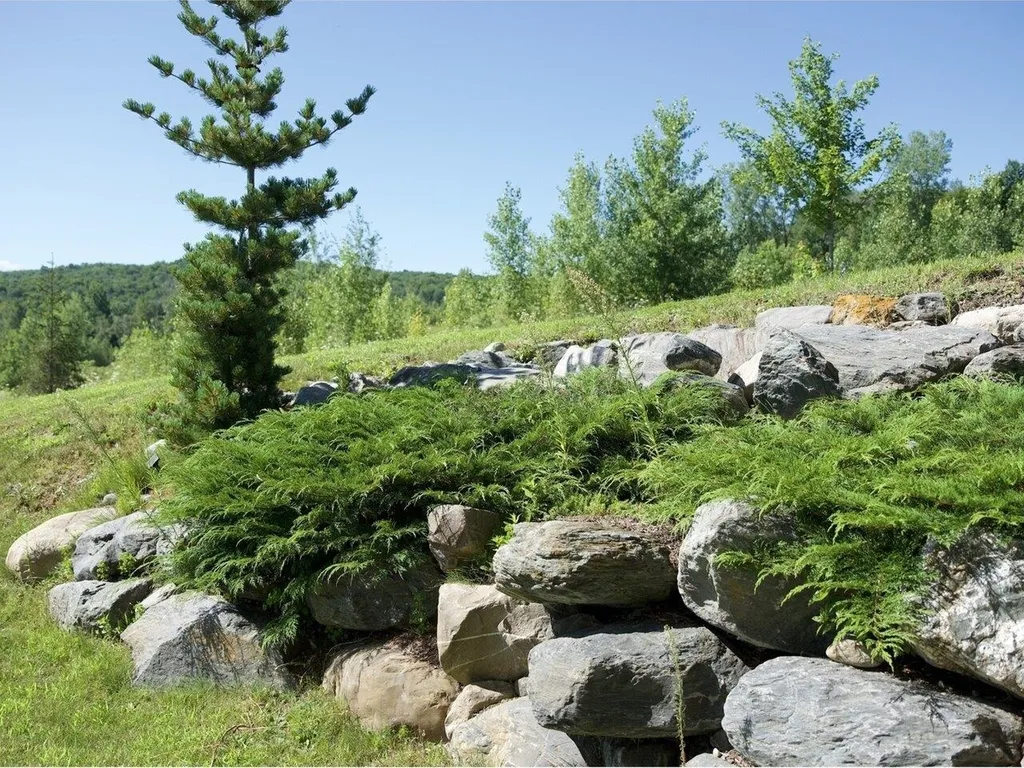 76 Bushey Road Fairfax VT 05454