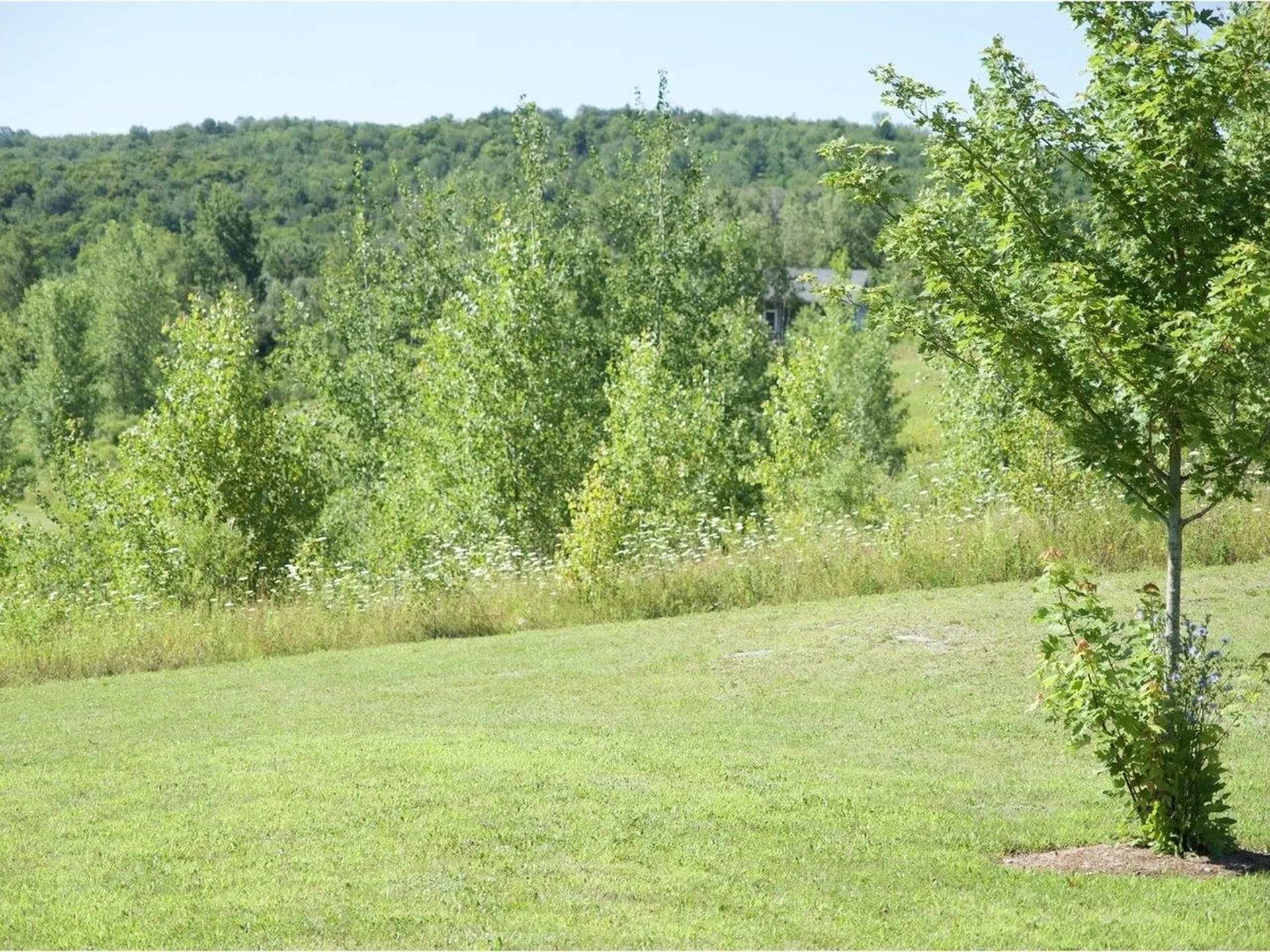 76 Bushey Road Fairfax VT 05454