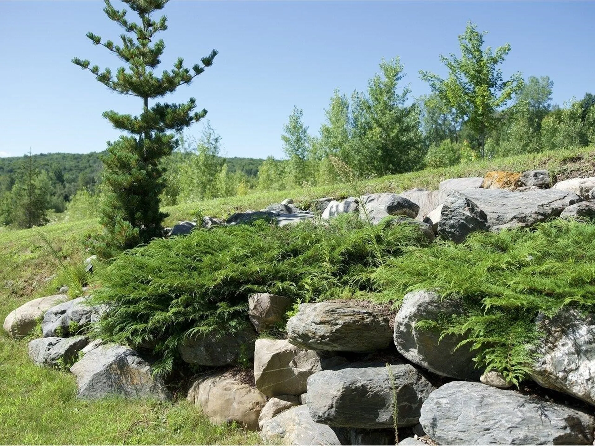 76 Bushey Road Fairfax VT 05454