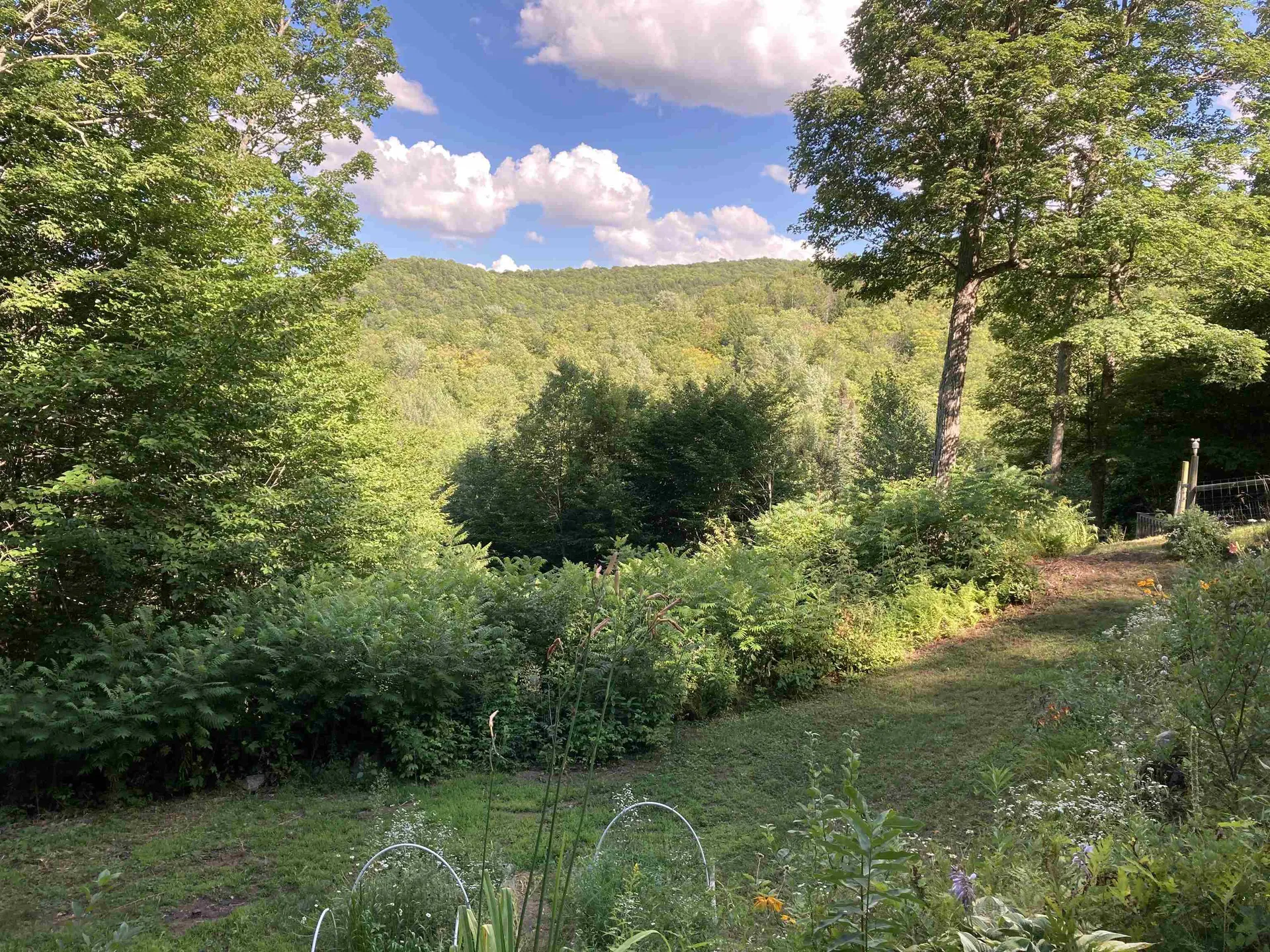 4350 Maplewood Road Corinth VT 05039