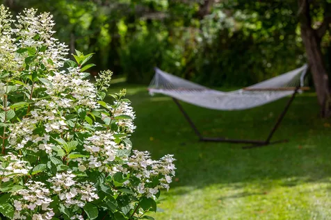 188 Benedict Road Dorset VT 05253