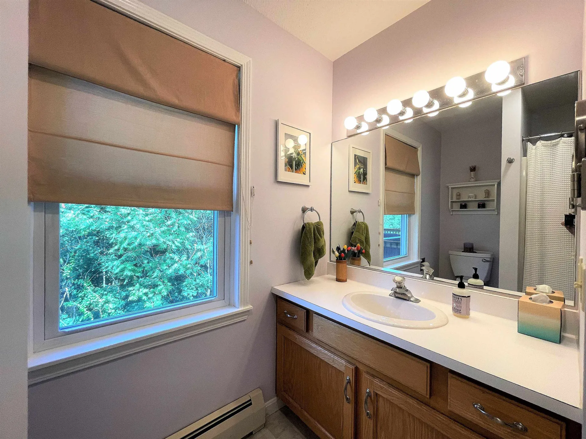190 Sunrise Drive Williston VT 05495