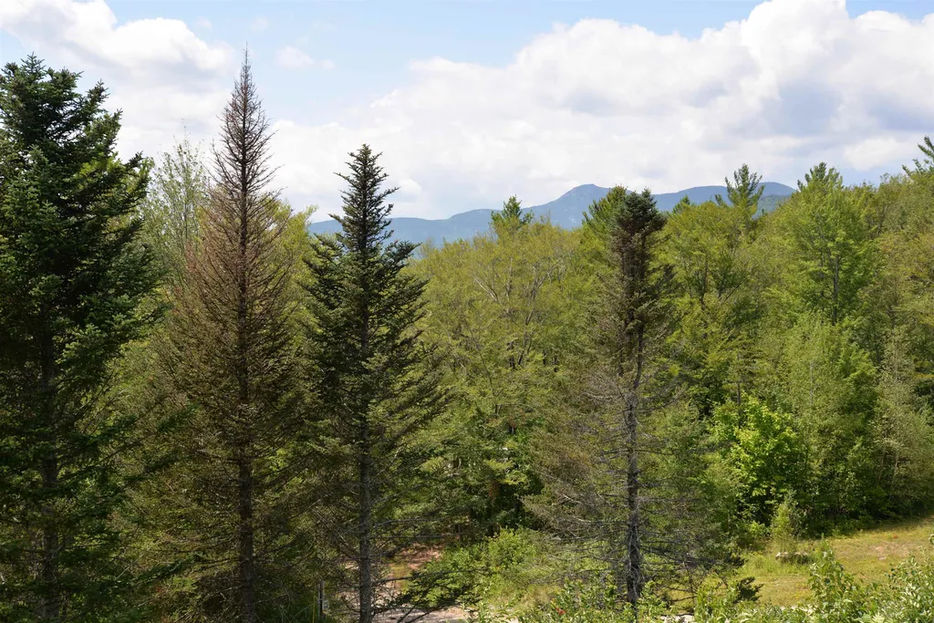 56 Ridgeview Drive Albany NH 03818