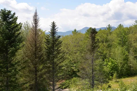 56 Ridgeview Drive Albany NH 03818