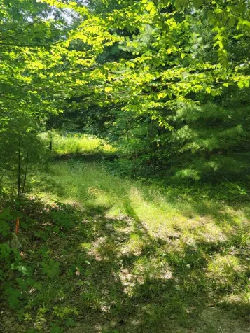 018-037 Ben Berry Road Moultonborough NH 03254