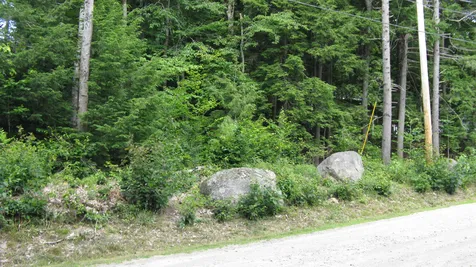 Lot 197 Bly Avenue Alton NH 03809