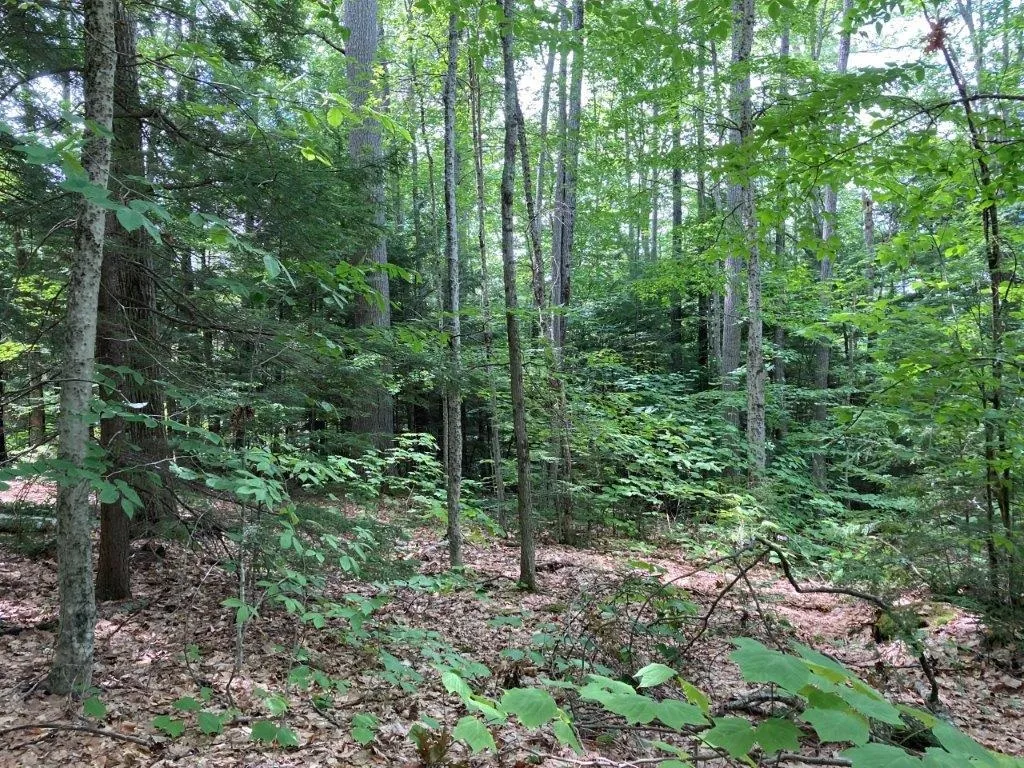 Corno Road Canaan NH 03741