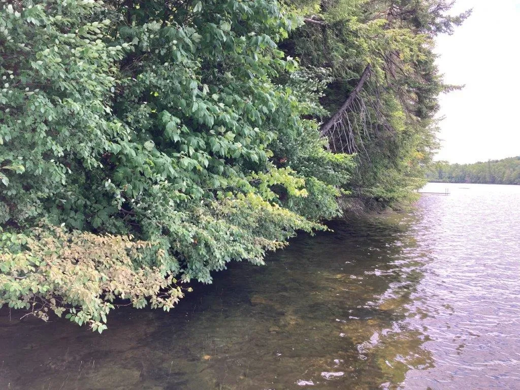 Corno Road Canaan NH 03741