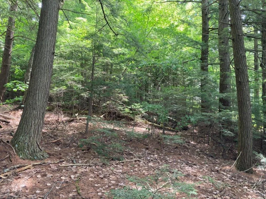 Corno Road Canaan NH 03741