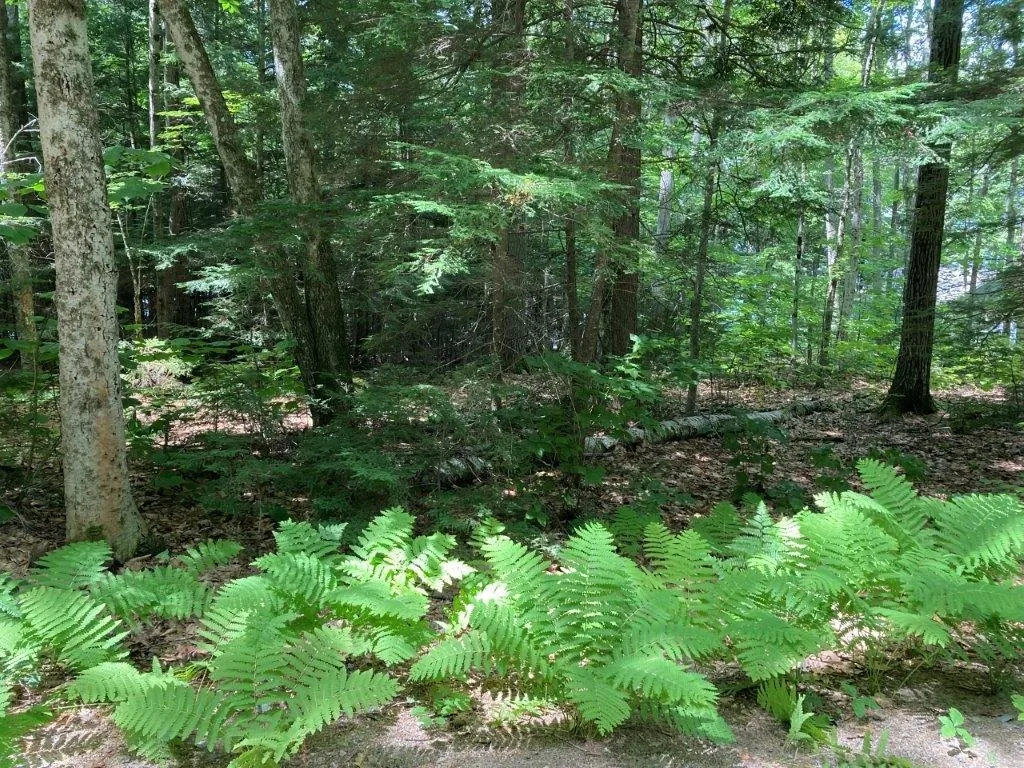 Corno Road Canaan NH 03741