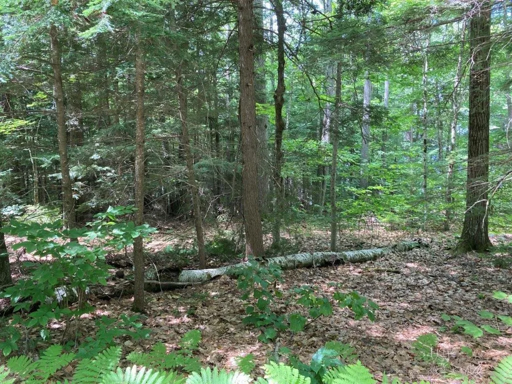 Corno Road Canaan NH 03741