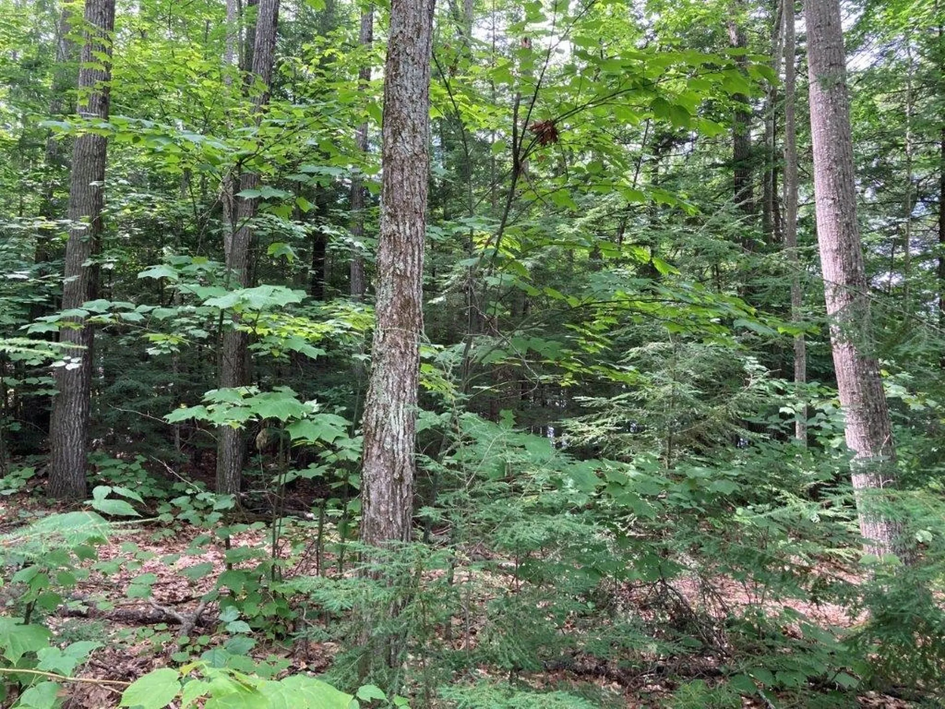 Corno Road Canaan NH 03741