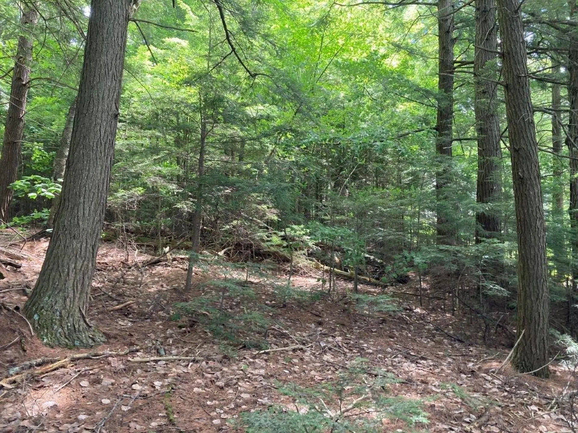 Corno Road Canaan NH 03741