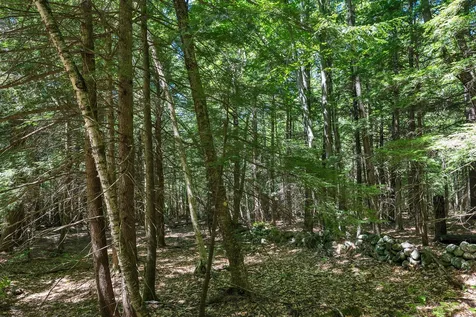 Map 20 Lot 13 Beach Pond Road Wolfeboro NH 03894