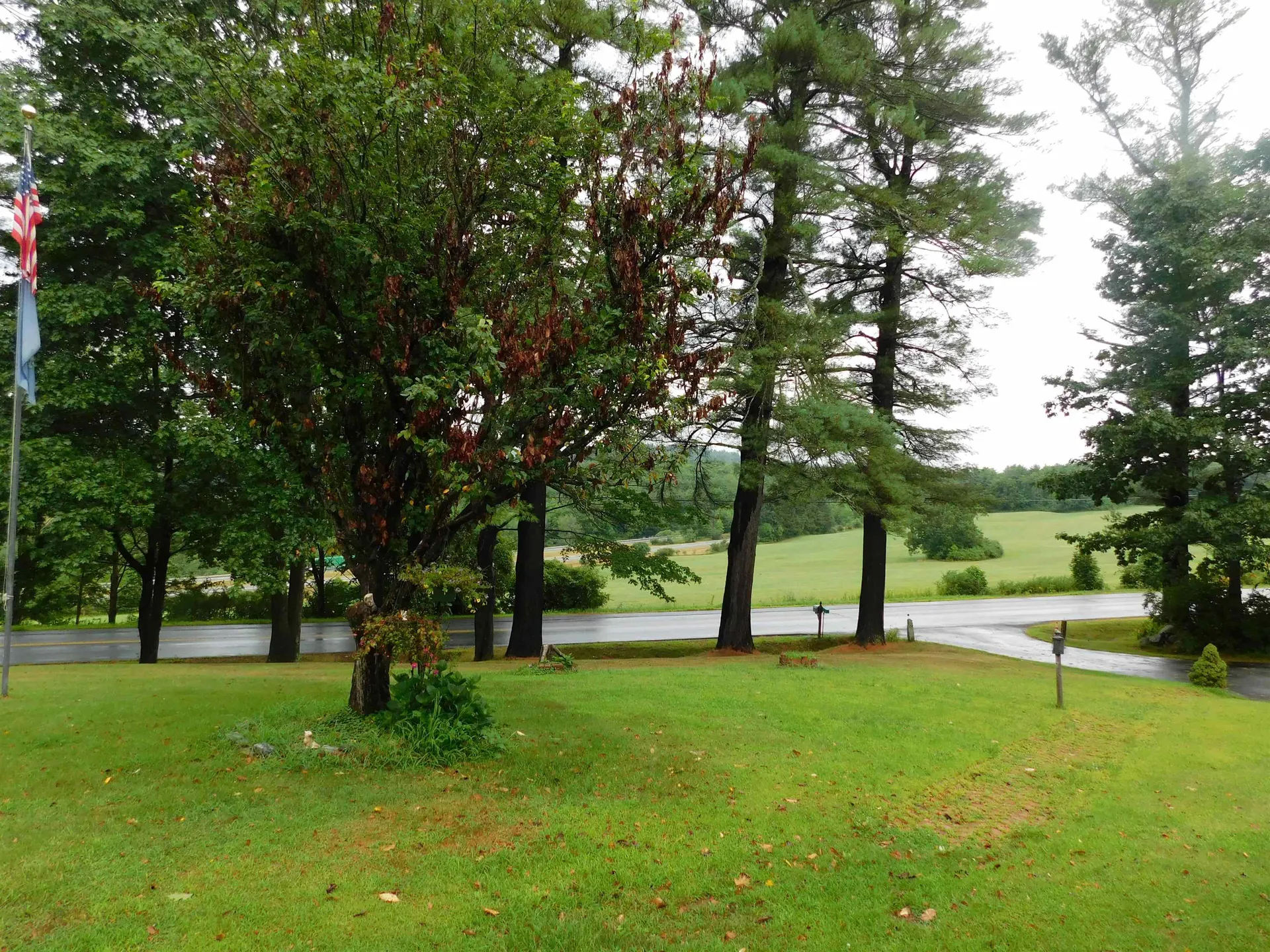 1455 Skitchewaug Trail Springfield VT 05156