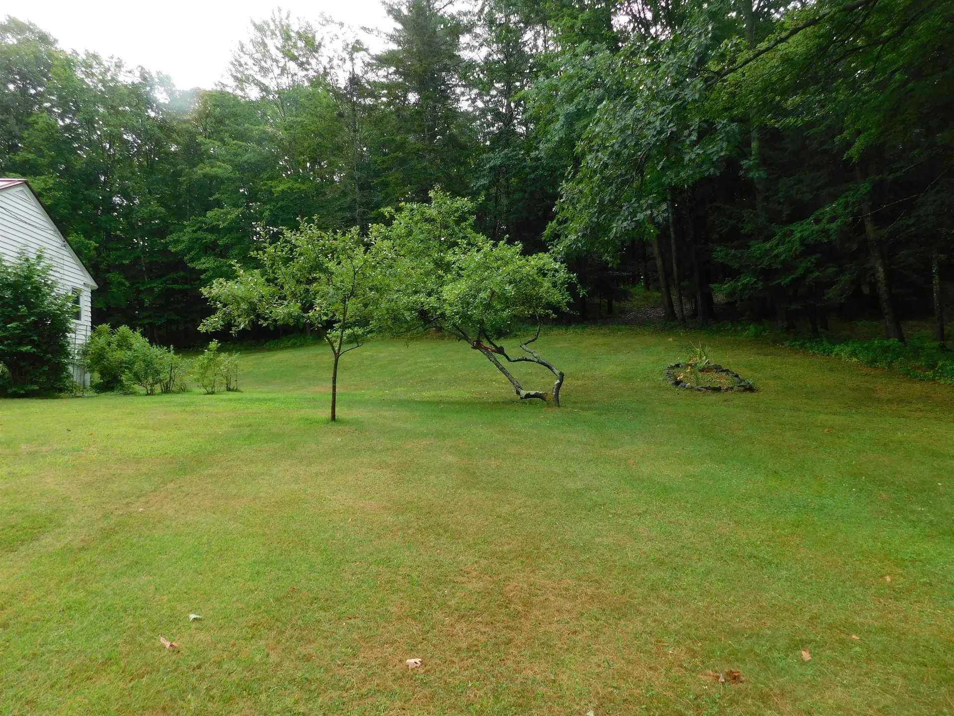 1455 Skitchewaug Trail Springfield VT 05156