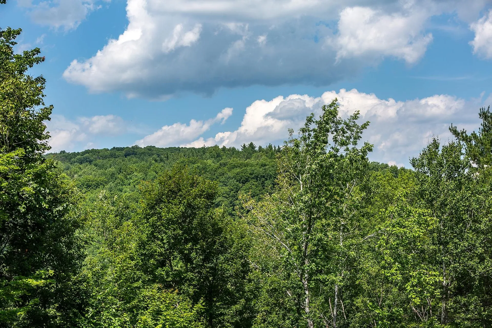 238 Cowdrey Path Woodstock VT 05071