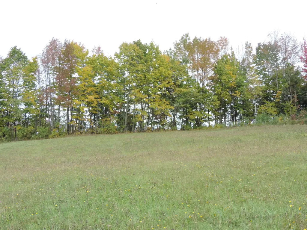 Lot 1 Armstrong Road Newport Town VT 05857