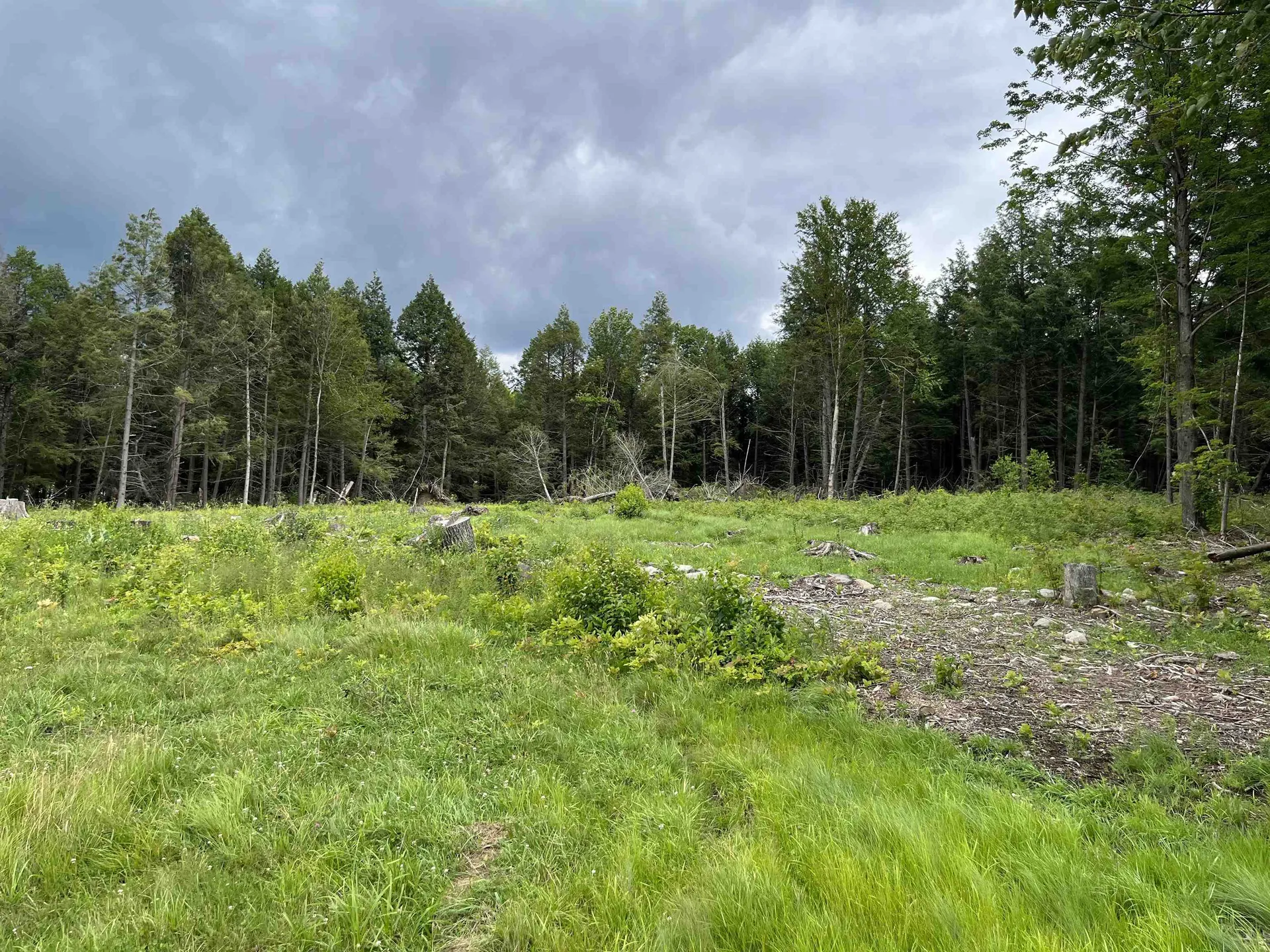 Lot 1 Armstrong Road Newport Town VT 05857
