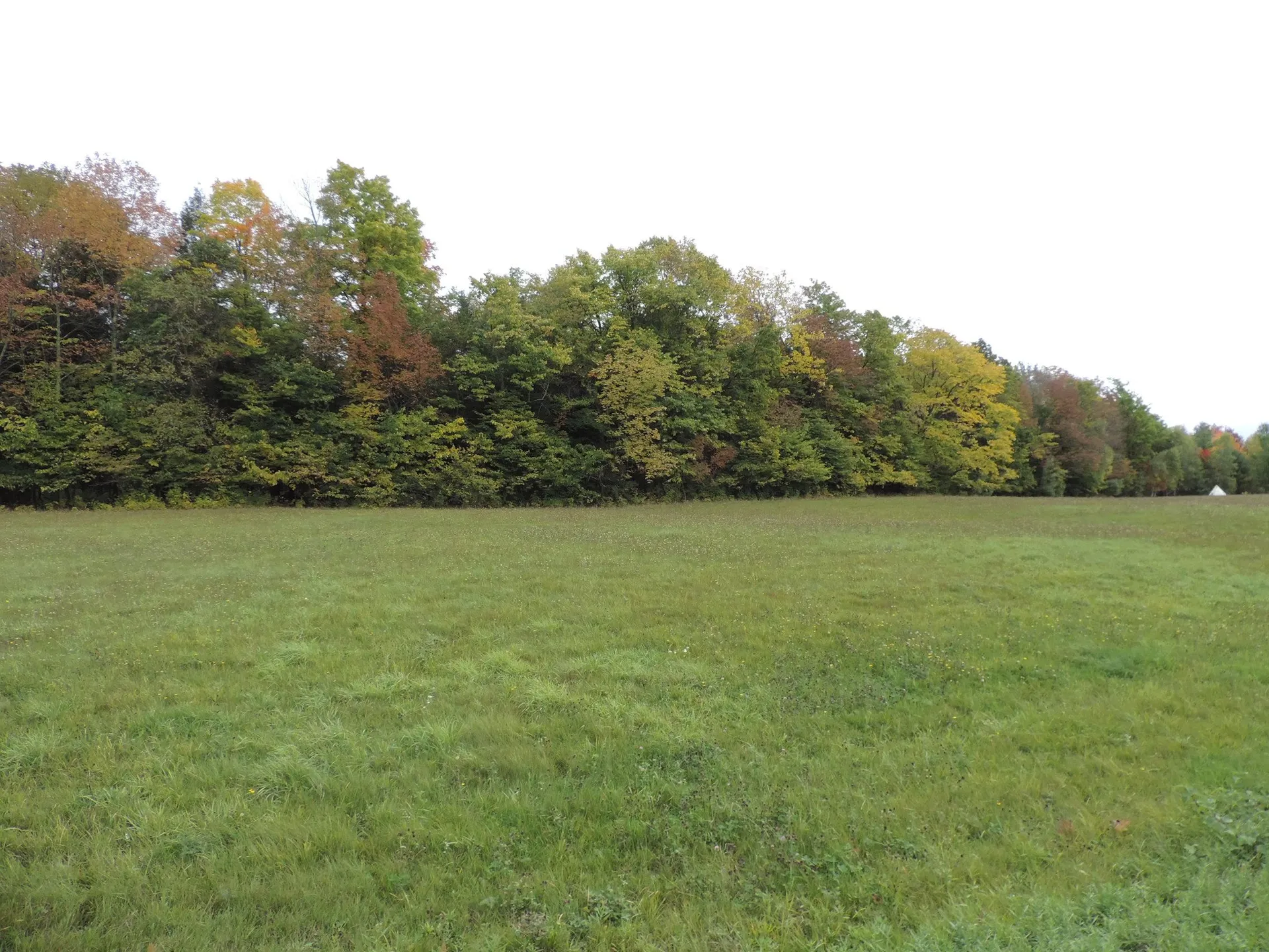 Lot 1 Armstrong Road Newport Town VT 05857