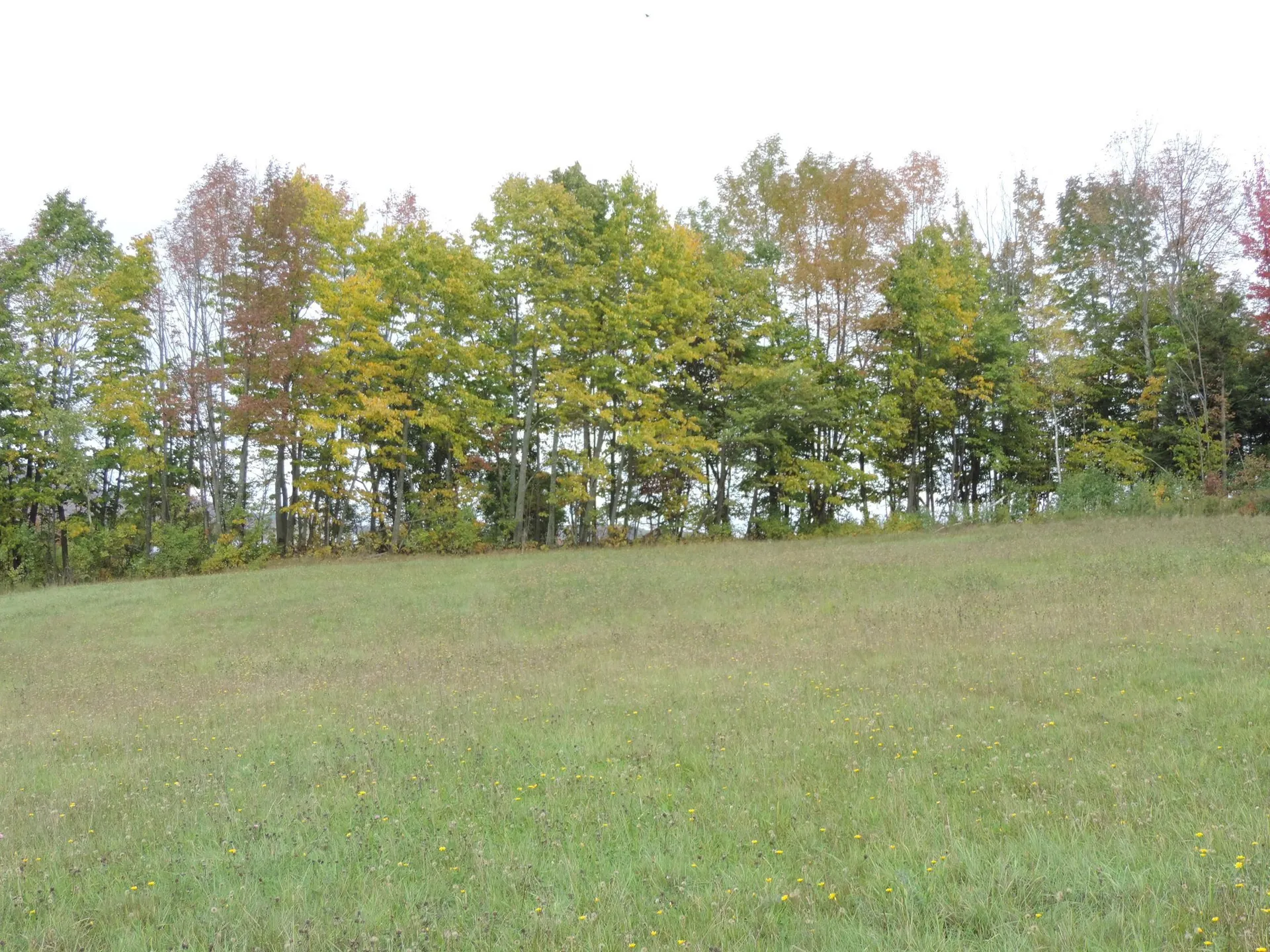 Lot 1 Armstrong Road Newport Town VT 05857