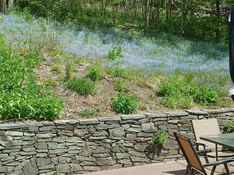 15 Pleasant Street Springfield VT 05156