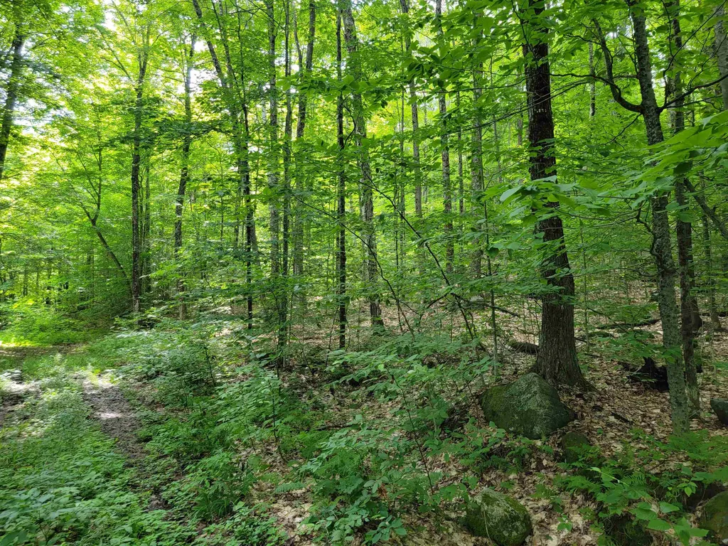 0 Galusha Hill Road Topsham VT 05076