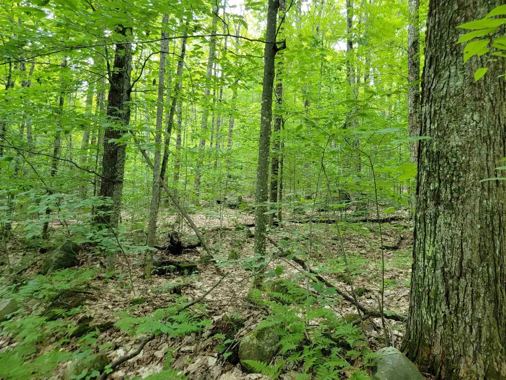 0 Galusha Hill Road Topsham VT 05076